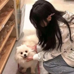 战舞机娘原罪降临最新下载